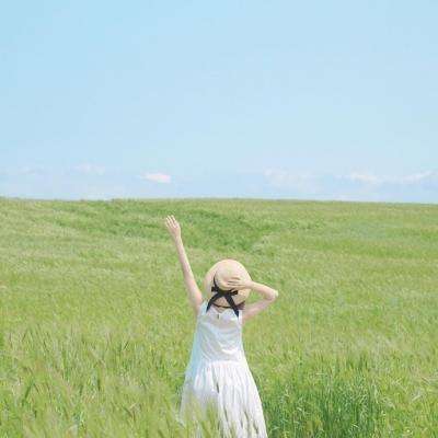 k8凯发国际官网入口