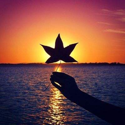 hth·华体育官方