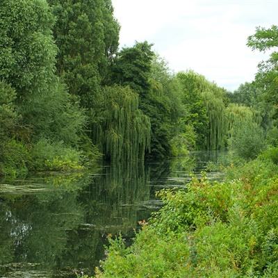 亚搏APP·官方网站截图