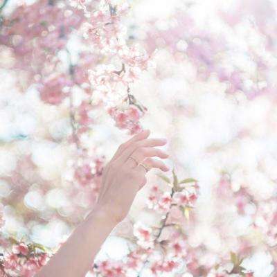 火博体育App官网