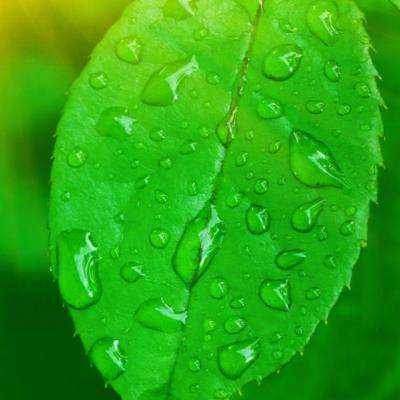 IM体育官网登录入口